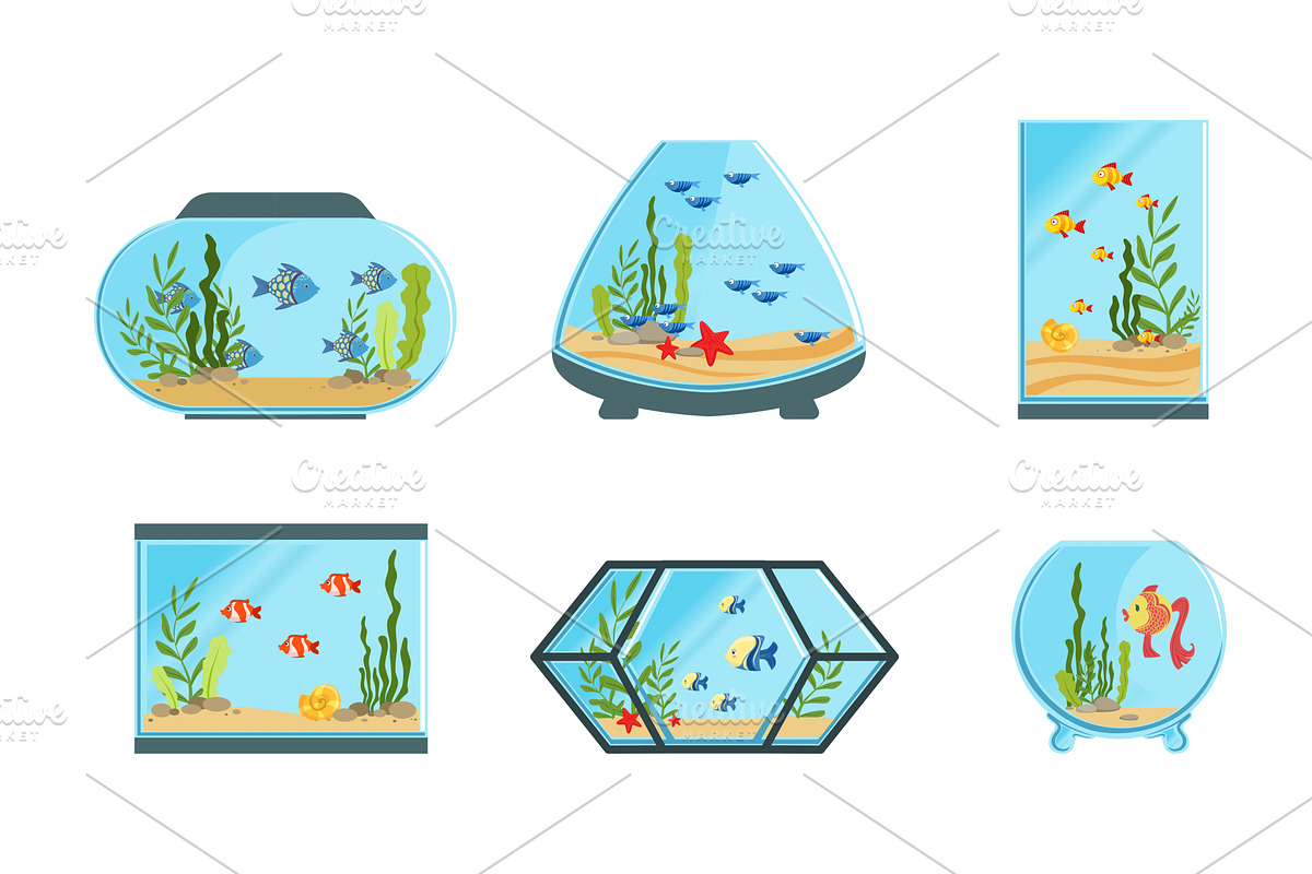 Collection of Aquarium Tanks of, an Animal Illustration by TopVectors
