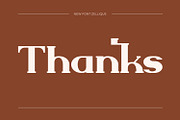 Zellique - Modern Serif Font, a Serif Font by Rishsketch (Thumbnail 14 of 15)