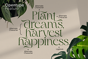 Ophelia Fresh Serif Typeface, a Serif Font by Vampstudio (Thumbnail 12 of 13)