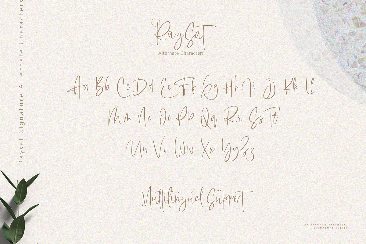 Raysat - Elegant Signature, a Script Font by Masanis (Photo 14 of 19)