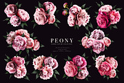 Peony Floral Clip Art, an Object Graphic by Eclectic Anthology (Thumbnail 13 of 17)