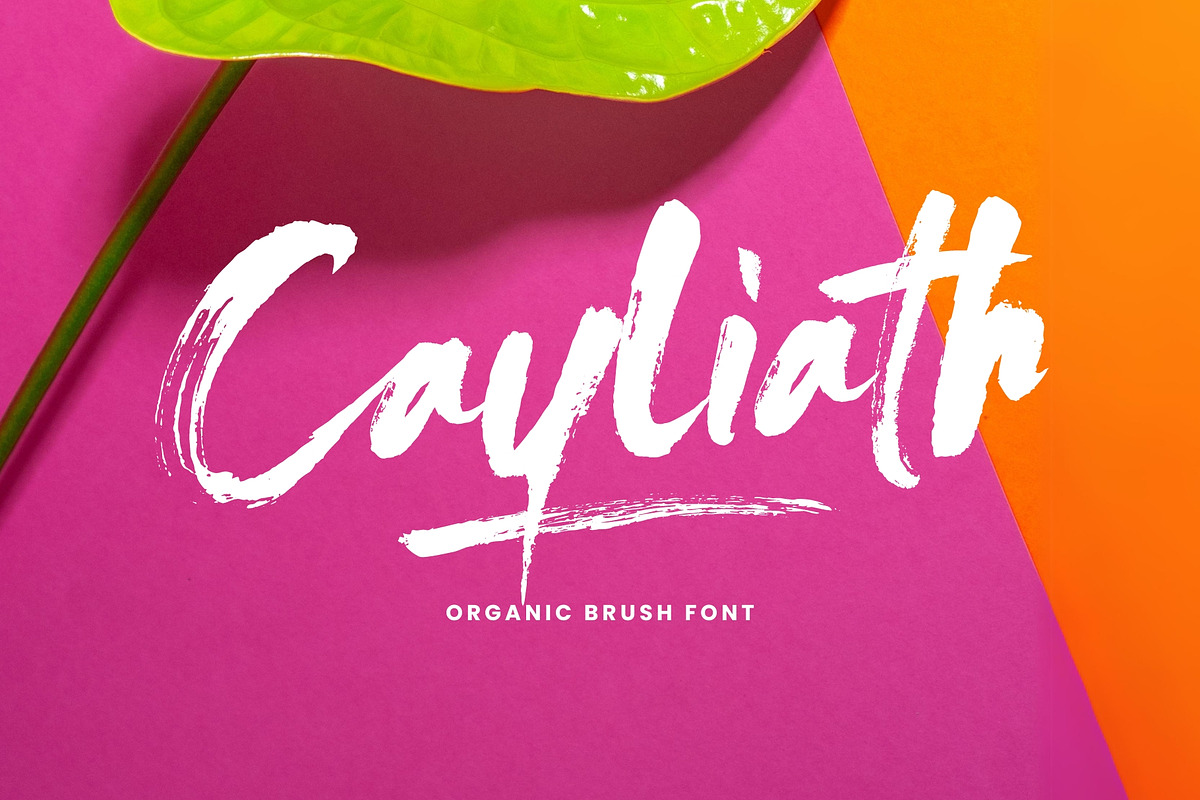 Cayliath Brush Script, a Handwritten Font by Get Studio (Photo 2 of 7)
