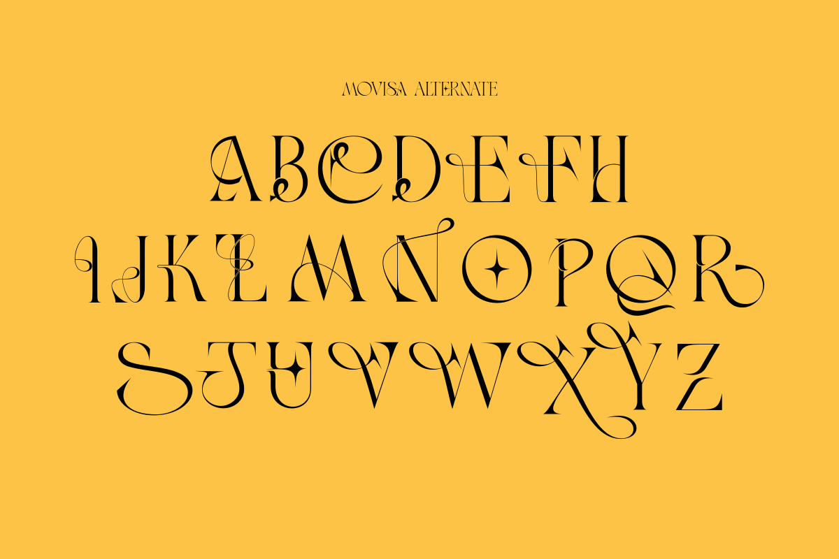 Movisa, a Serif Font by zaaintype (Photo 12 of 15)