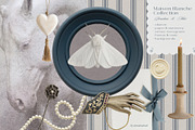 Decorative Objects & Paper Archive, an Object Graphic by alonahaidash (Thumbnail 2 of 12)