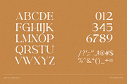 Rowun Elegant Serif Font Typeface, a Serif Font by Perfectype (Thumbnail 10 of 10)