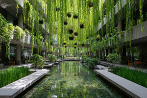 Plants over water feature, a Photo by Beautiful things