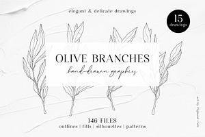 Olive Branches & Botanical Patterns