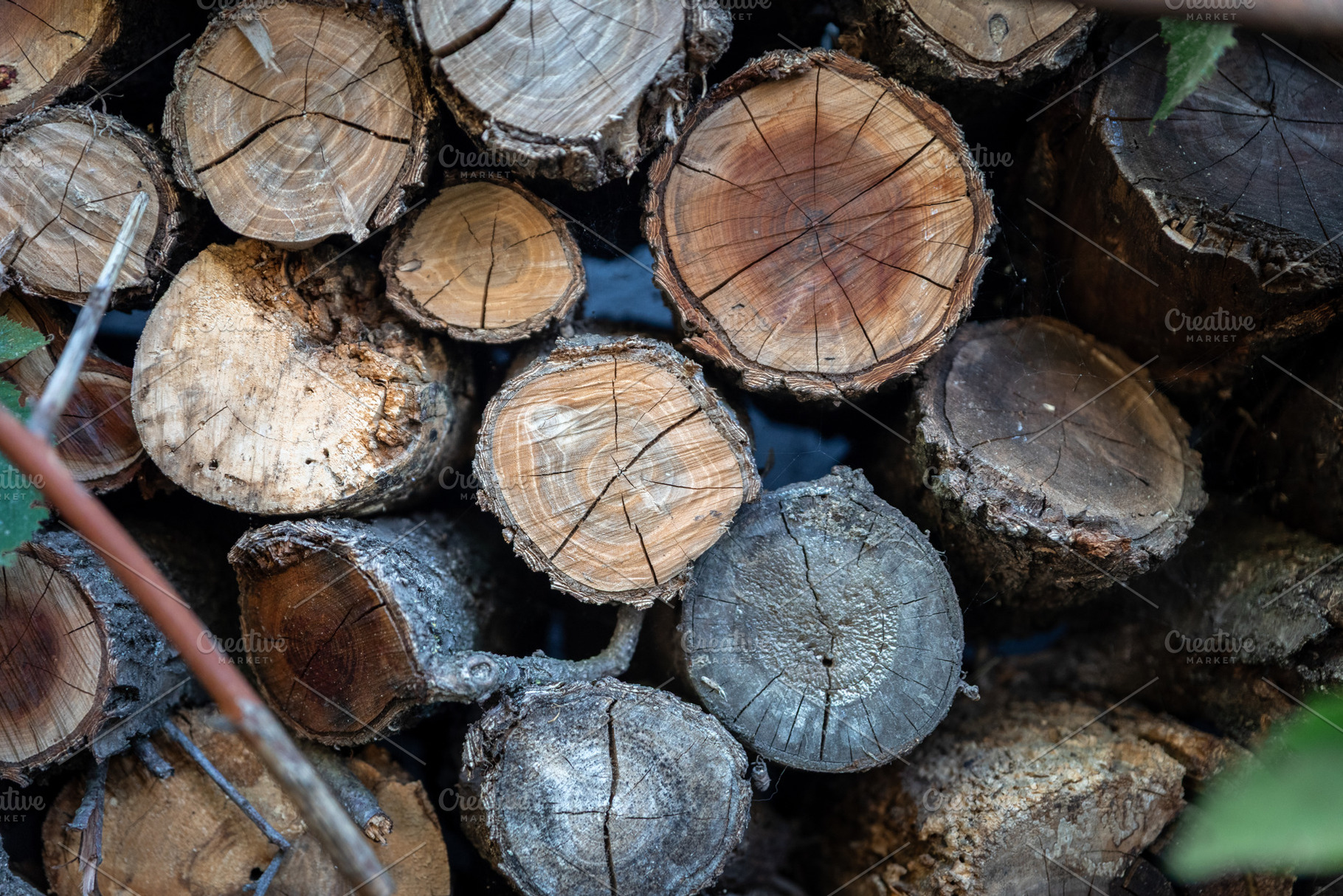 Stacked Firewood Logs Background, a Photo by Ales Munt