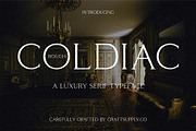 Coldiac Rough, a Serif Font by Craft Supply Co. (Thumbnail 1 of 8)