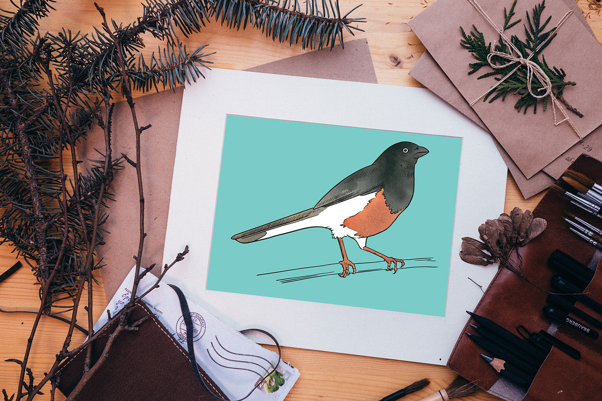 Vector Bird Line Art Illustrations, an Illustration by MyNatureGraphics (Photo 3 of 4)