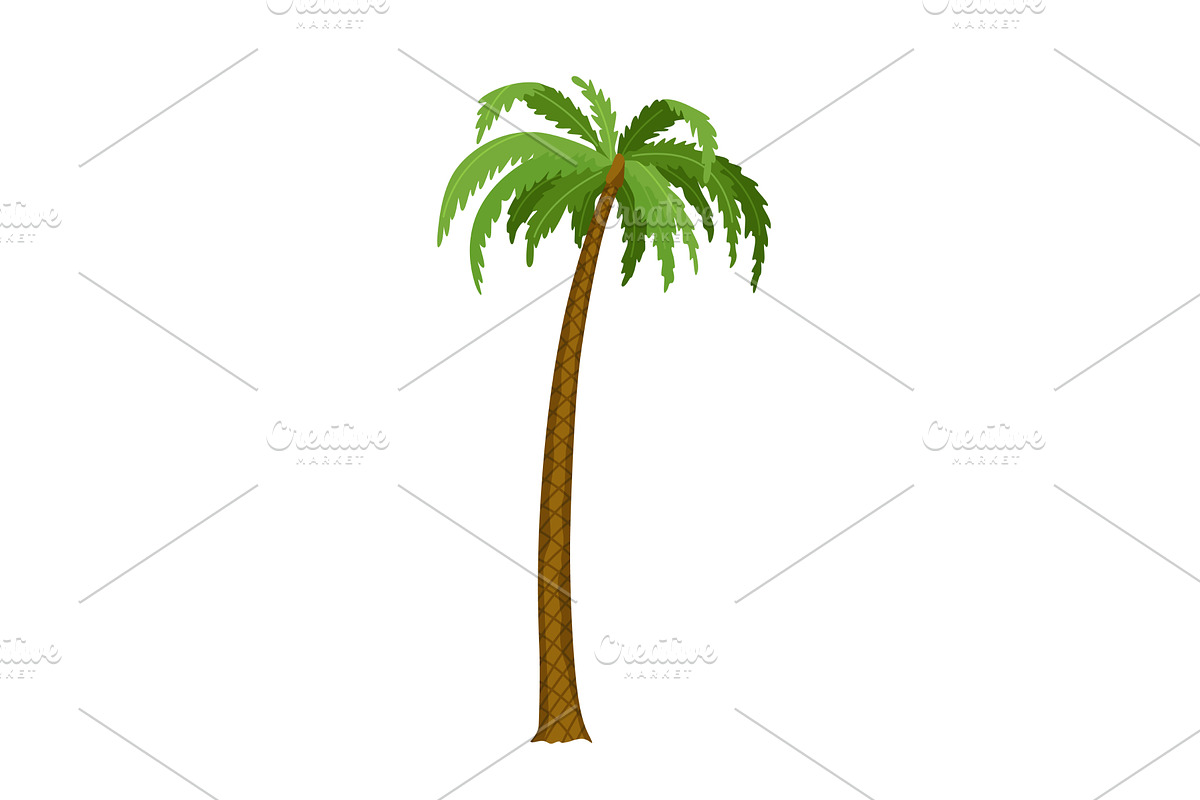 Kind of tree icon, palm, an Object Illustration by Things for designers