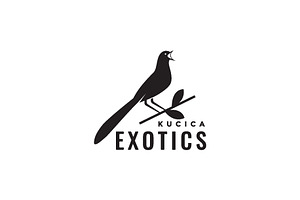 Exotic Bird Magpie Singer Logo