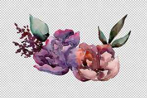 Succulent Tropical Flowers PNG Set