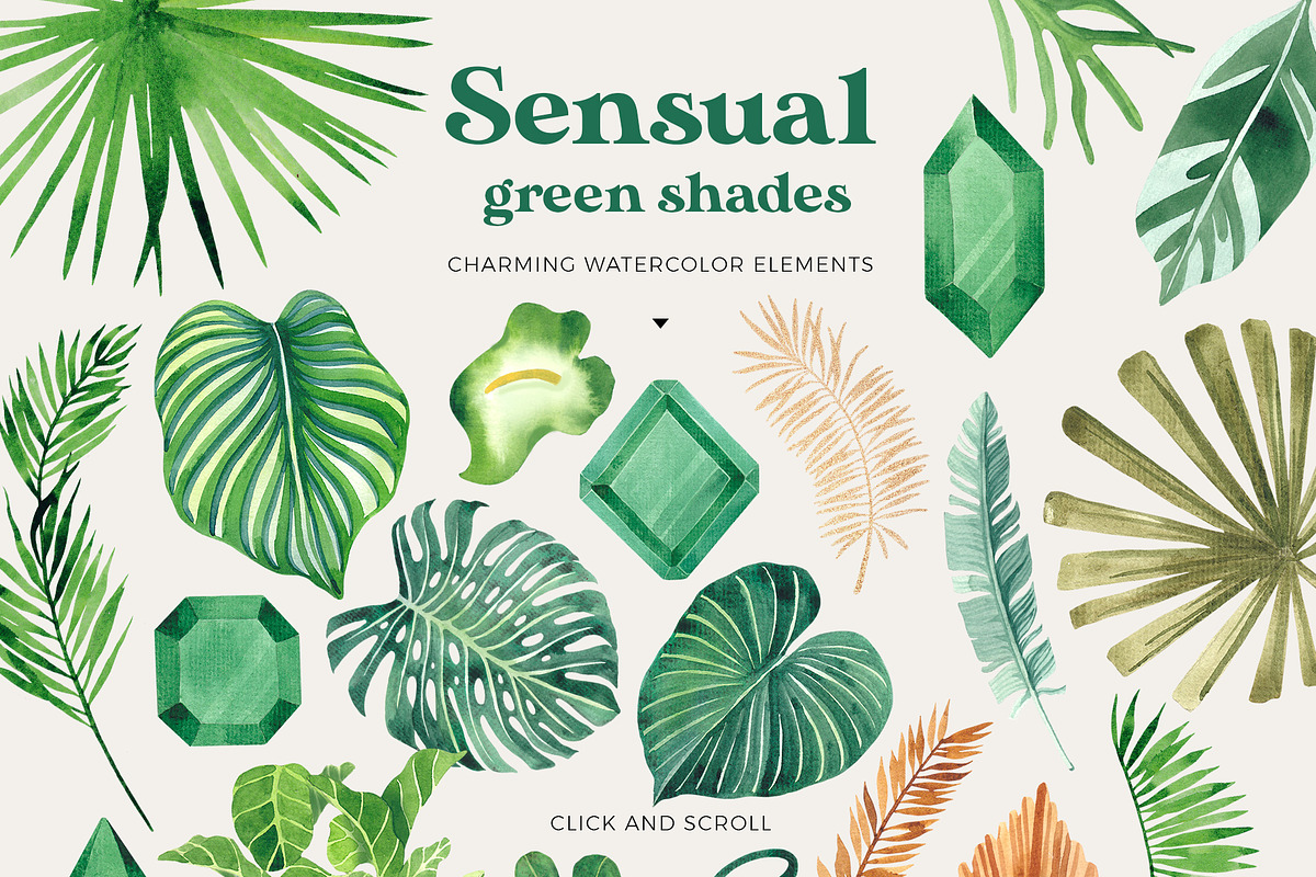 The Emerald  tropic greenery set, an Illustration by Beauty Drops (Photo 3 of 8)