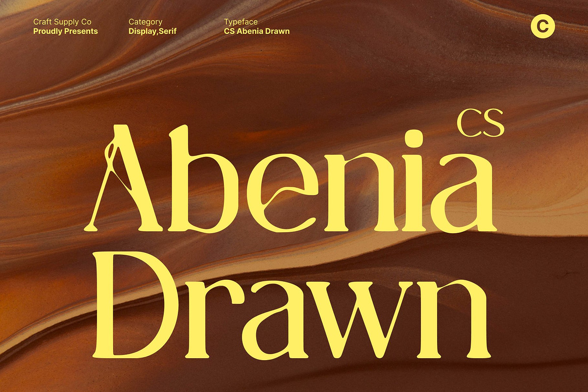 CS Abenia Drawn, a Serif Font by Craft Supply Co. (Photo 1 of 8)