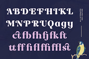 Rost Bird - Bold Swashes Retro Serif, a Serif Font by Typia Nesia (Thumbnail 4 of 15)