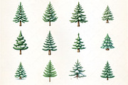 Watercolor Pine Tree with Snow Clipa, an Illustration by CrexoraLab (Thumbnail 4 of 5)