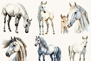 Watercolor Horses Clipart Bundle, an Animal Illustration by Design Scotch (Thumbnail 3 of 8)