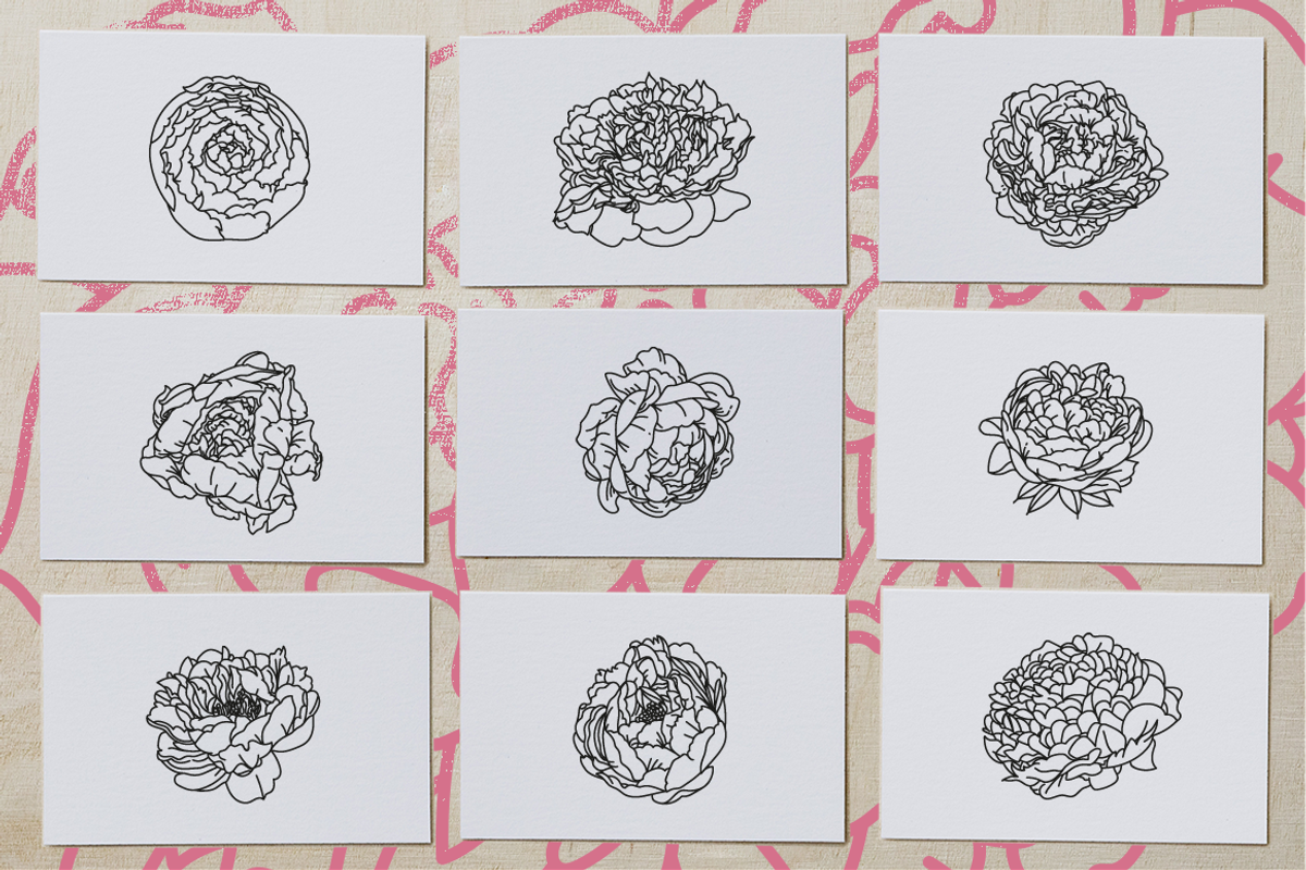 50 Peony Flower Vector Illustrations, an Illustration by Inkwell Supply Co (Photo 6 of 20)