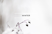 50 % OFF Winter stock photos, a Product Mockup by Nellaino (Thumbnail 4 of 5)