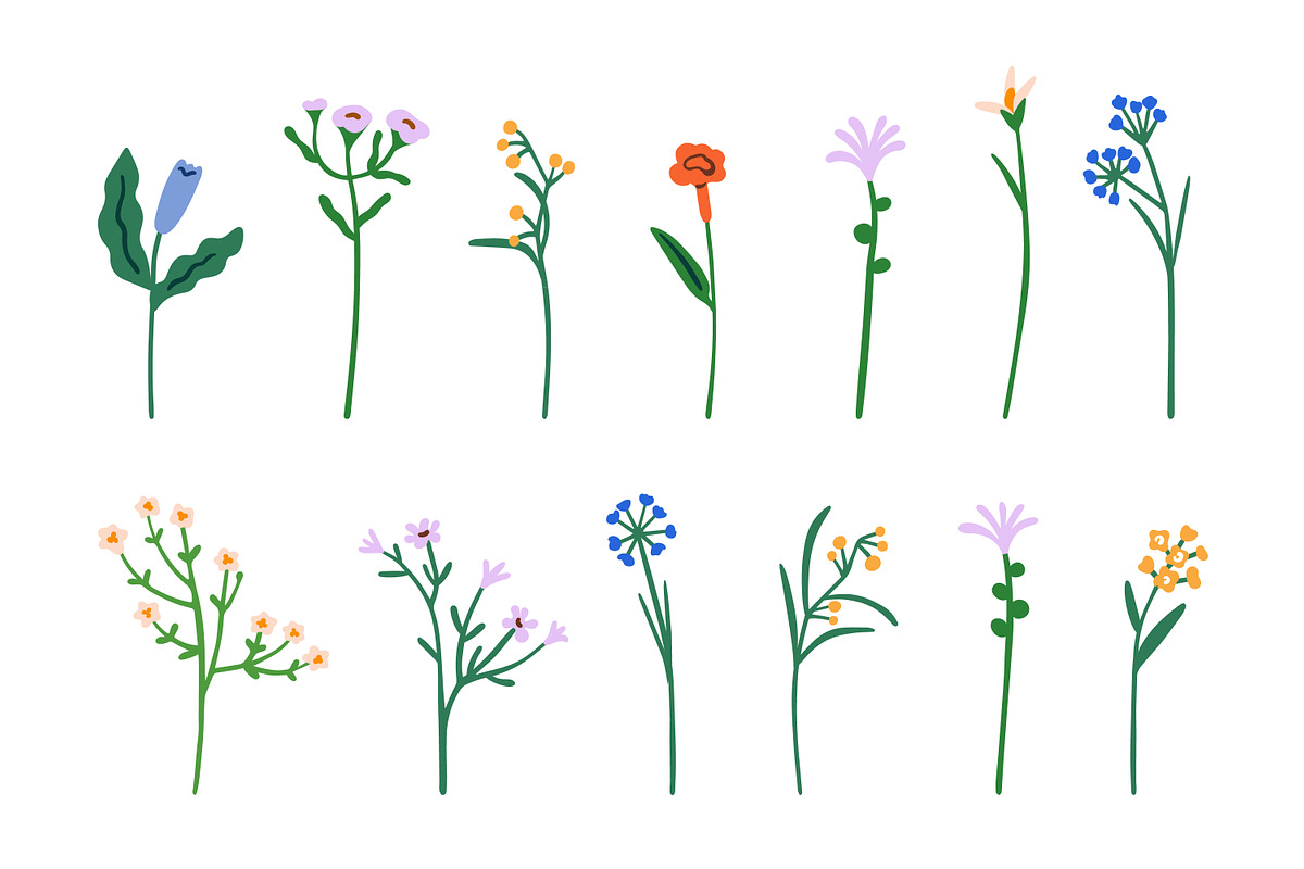 Flowers, blooming plants. Floral set, a Decorative Illustration by Good Studio (Photo 4 of 5)