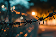 Barbed wire - 55 images, a Background Photo by Handmadefont (Thumbnail 12 of 15)