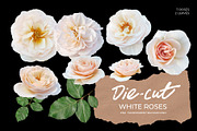 Die-Cut White Roses Photo Pack, a Photo by aniunova (Thumbnail 1 of 2)