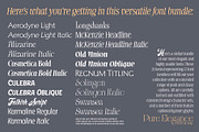 Pure Elegance Font Bundle, a Serif Font by Mysterylab Designs (Thumbnail 2 of 21)