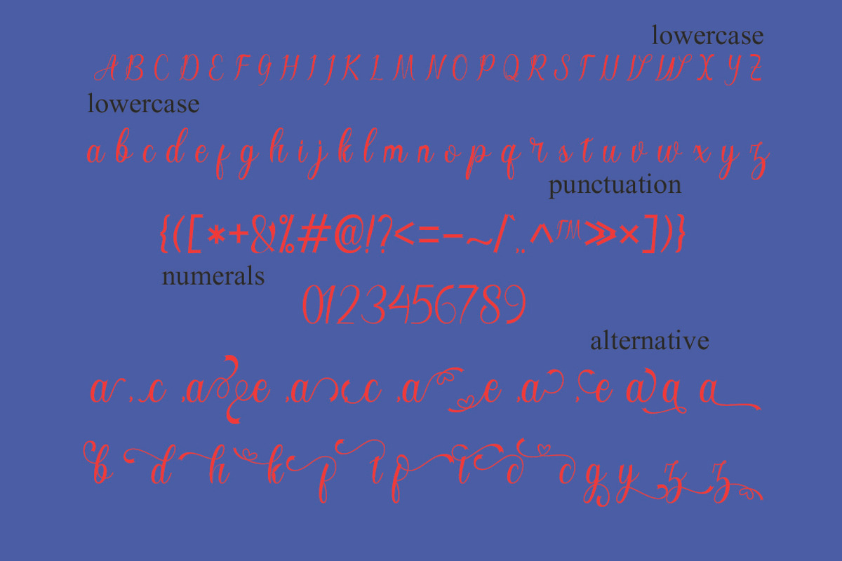 Angelisa, a Script Font by NaldyStudio (Photo 9 of 11)
