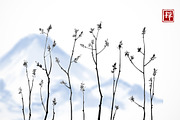 Japanese painting sumi-e. Flowers, a Decorative Illustration by Elina_Li (Thumbnail 9 of 15)