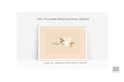 100+ Botanical Procreate Brush Stamp, a Brush Add-On by CC CREATIVE CO (Thumbnail 13 of 16)
