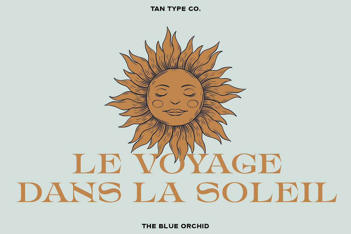 TAN - THE BLUE ORCHID, a Serif Font by TanType (Photo 11 of 12)