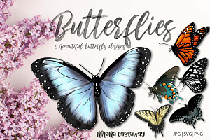 6 Beautiful Butterfly Illustrations