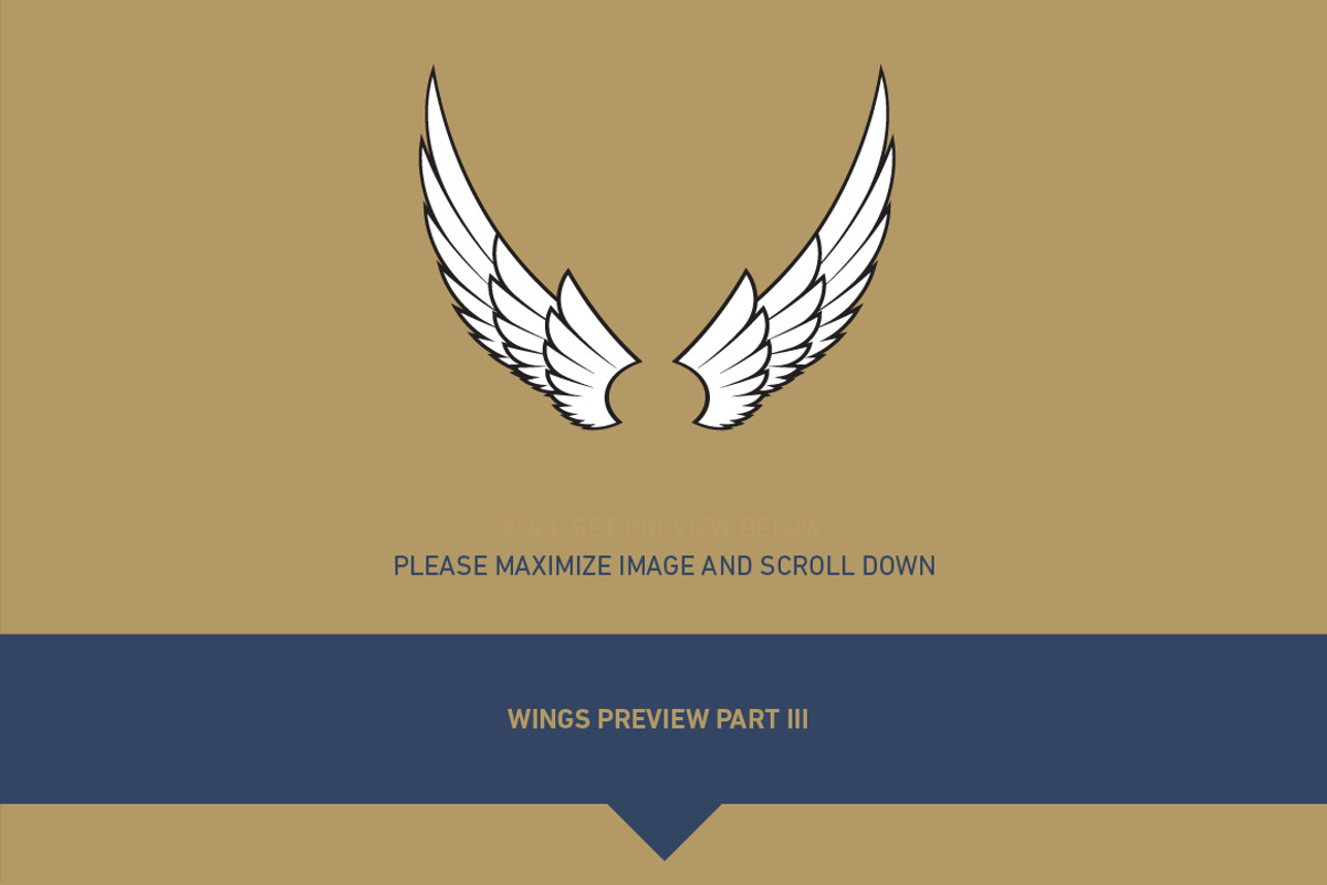 160 Pairs of Vector Wings, an Object Graphic by Damien (Photo 14 of 17)