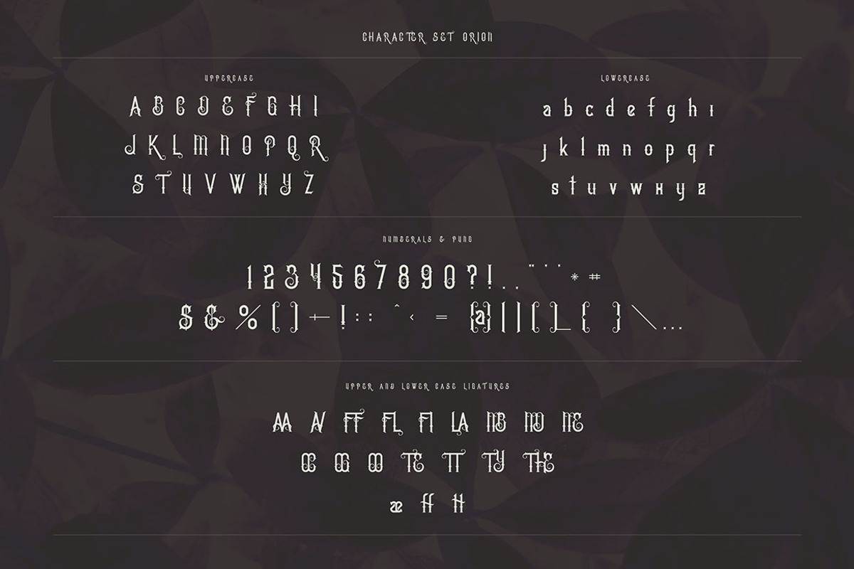 Orion Vintage Font, a Serif Font by JumboDesign (Photo 3 of 7)