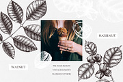 Hand-Drawn Nuts Sketches, a Food Illustration by Yevheniia (Thumbnail 7 of 12)