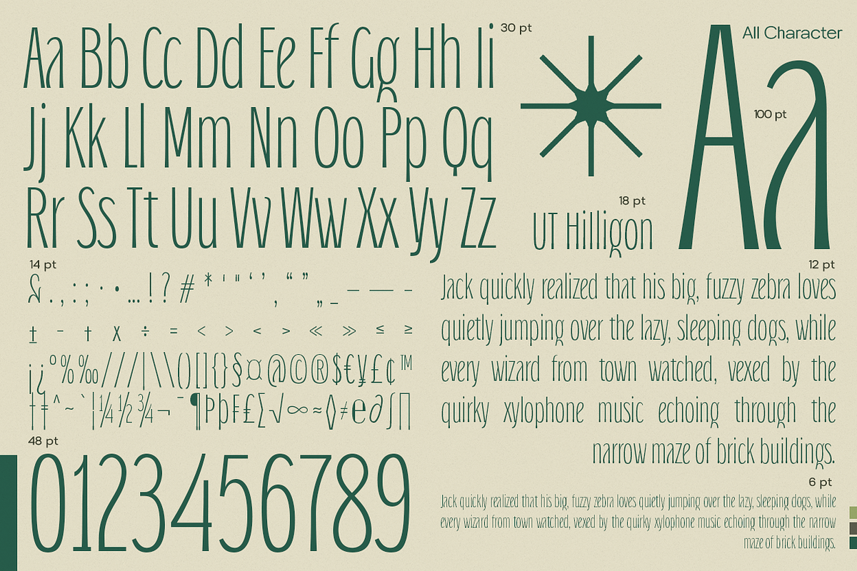UT Hilligon - An Elegant Font, a Sans Serif Font by Universitype (Photo 3 of 8)