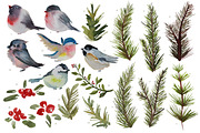Watercolor Winter Birds and Branches, an Illustration by RalucaGheorghe (Thumbnail 2 of 4)