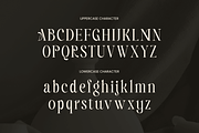 Starlight – Stylish Editorial Font, a Serif Font by Sensatype (Thumbnail 14 of 17)