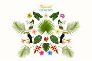Tropical Realistic Paintings, a Decorative Illustration by Storyteller Imagery (Thumbnail 2 of 16)