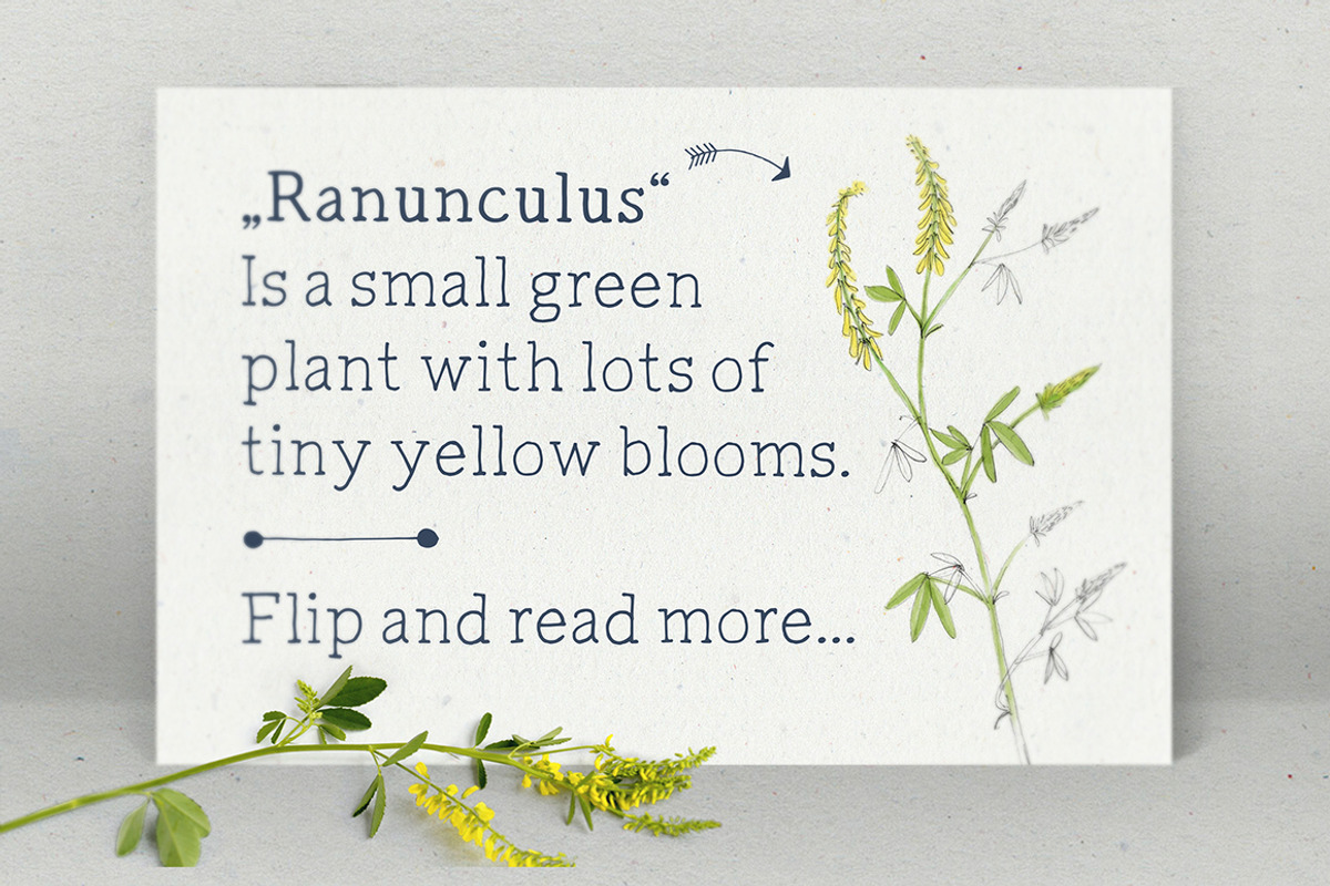 Radka: handmade font family + extras preview 2