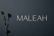 Designer's Type - Sans Serif Bundle!, a Sans Serif Font by Creativetacos (Thumbnail 22 of 36)
