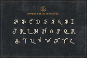 Western Lake - Brewski Typeface, a Sans Serif Font by Kaligra.co (Thumbnail 8 of 10)