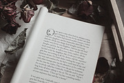 Magic Ivy. Botanical Font., a Serif Font by AnMark (Thumbnail 13 of 15)