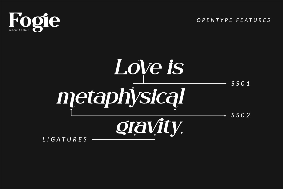 Fogie - Serif Family, a Serif Font by din-studio.com (Photo 20 of 21)