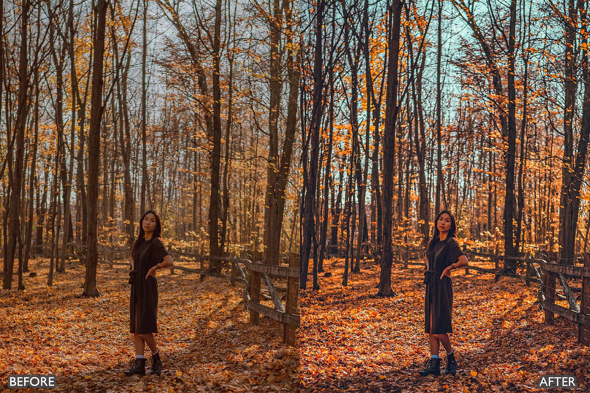 FALL PRESETS for Autumn Photos, a Preset Add-On by AAA Presets (Photo 19 of 22)