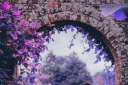 454 Infrared Fantasy Pro LUTs, a Preset Add-On by ShutterPro (Thumbnail 34 of 48)