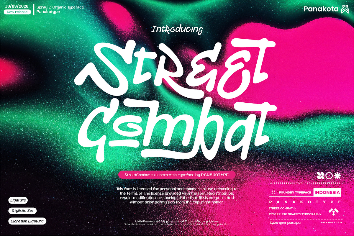 Spray typography - StreetCombat, a Handwritten Font by panakota studio (Photo 1 of 7)