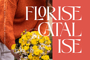 Midlife Cricise Modern Serif Font, a Serif Font by timelesstype.co (Thumbnail 11 of 20)