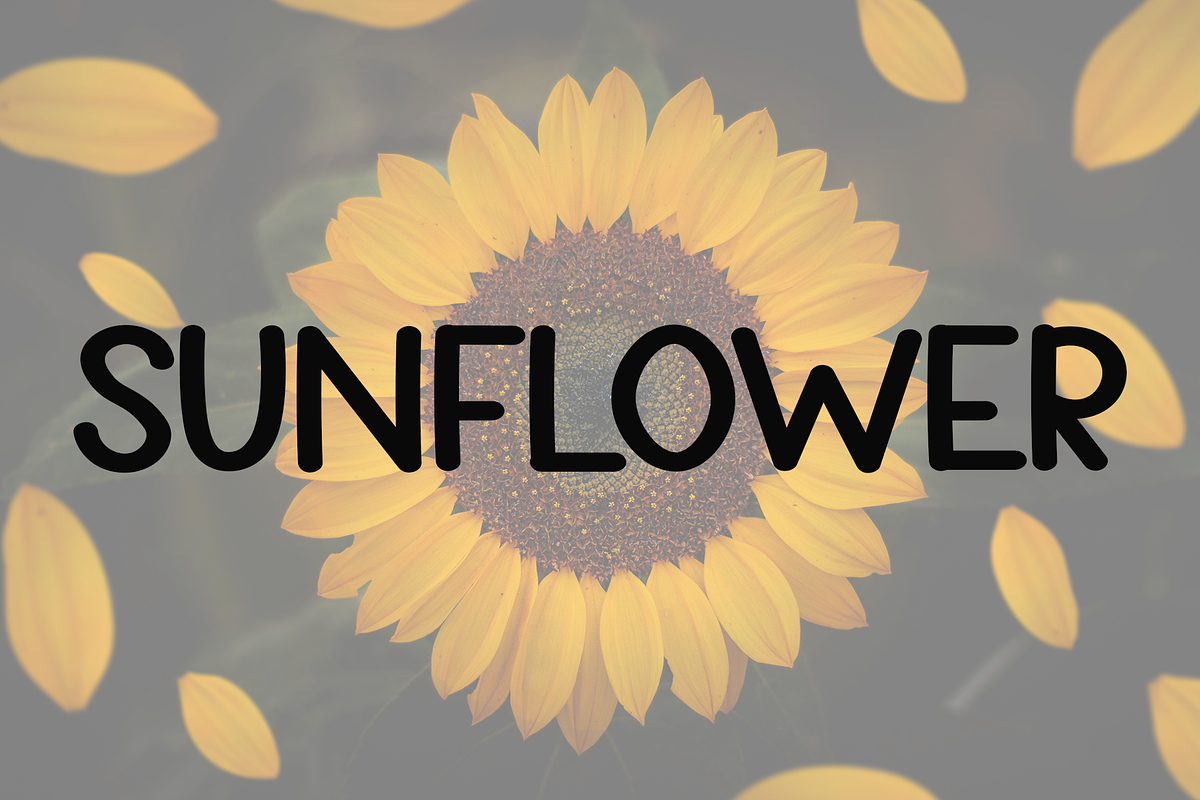 Mango, a Script Font by FreshTypeINK (Photo 2 of 8)